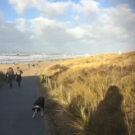 The Breeze